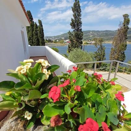 Skiathos Lagoterra Apartments Buitenkant foto